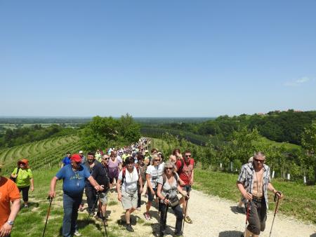 12. pohod Pomlad v prleških goricah Dan odprtih kleti in veselih ljudi, 28.5.2016 60